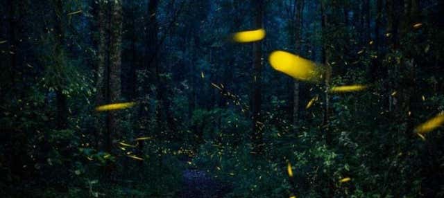 Escursione al Santuario delle Lucciole