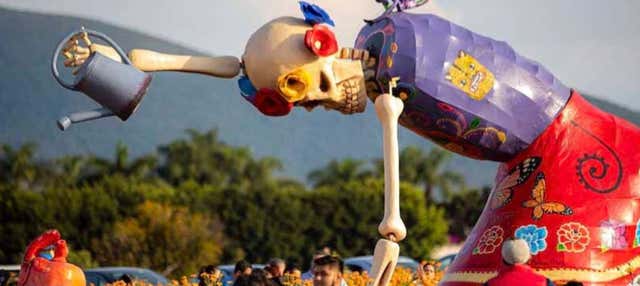 Escursione alla Valle de Catrinas e ai campi di cempasúchil