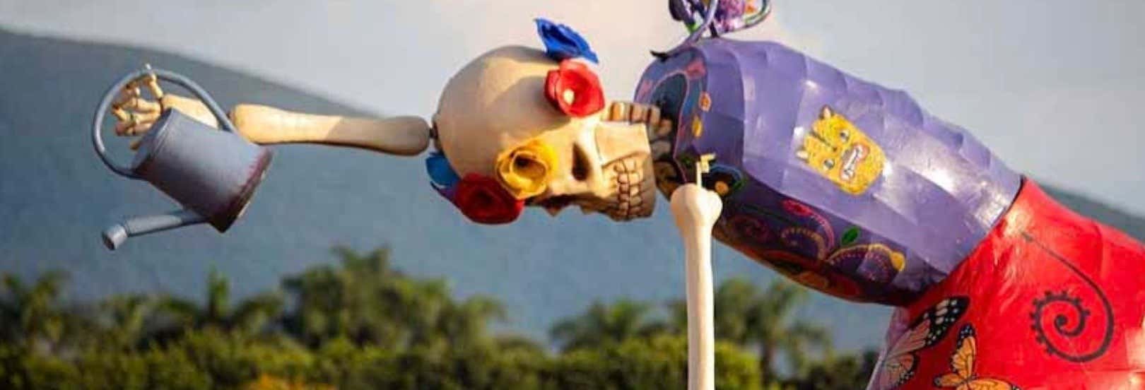 Escursione alla Valle de Catrinas e ai campi di cempasúchil