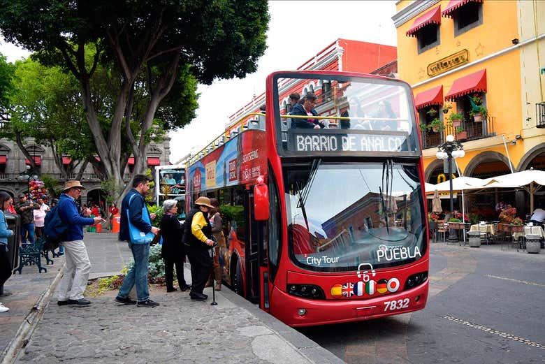 Imagen 8