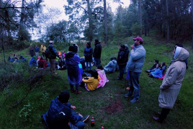 Imagen 8