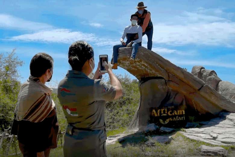 Imagen 6