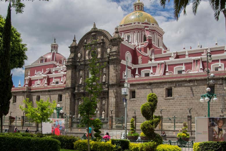 Imagen 8