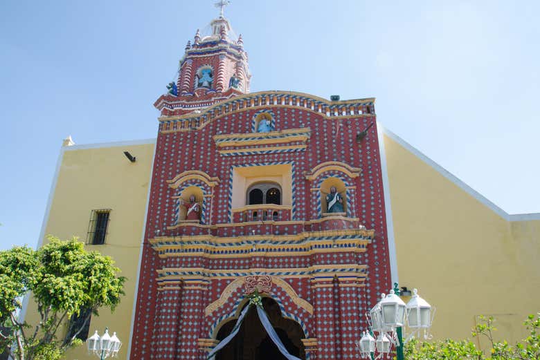 Imagen 5