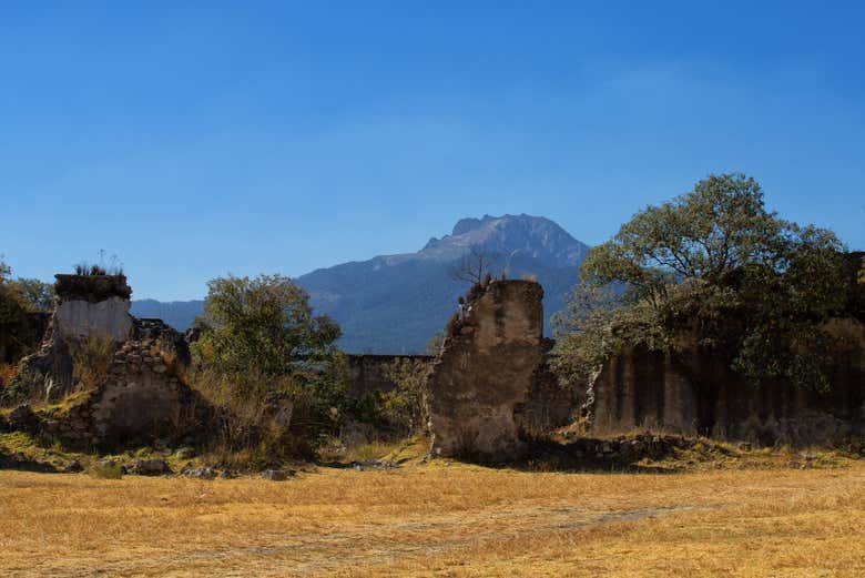 Imagen 6