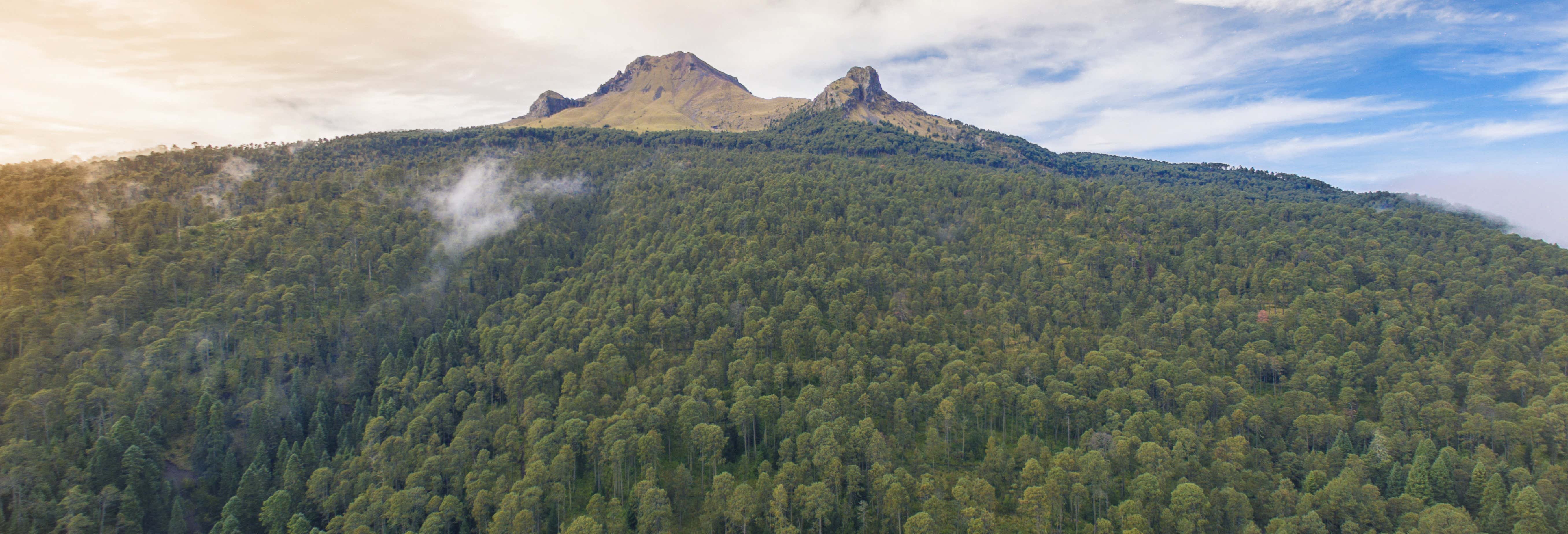 La Malinche National Park Trek