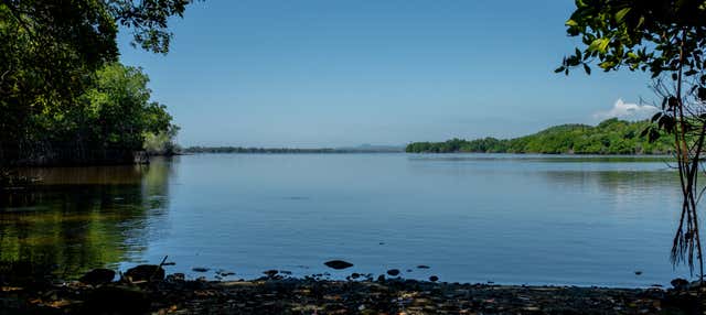 Escursione alla Laguna di Manialtepec