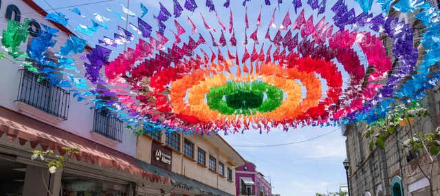 Escursione a Oaxaca e San Martín Tilcajete