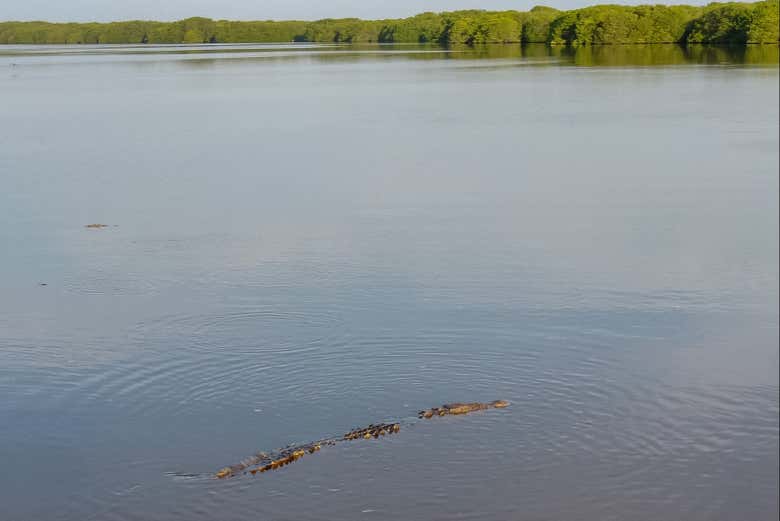 Make the most of your time in Puerto Escondido - Make the most of your time in Puerto Escondido