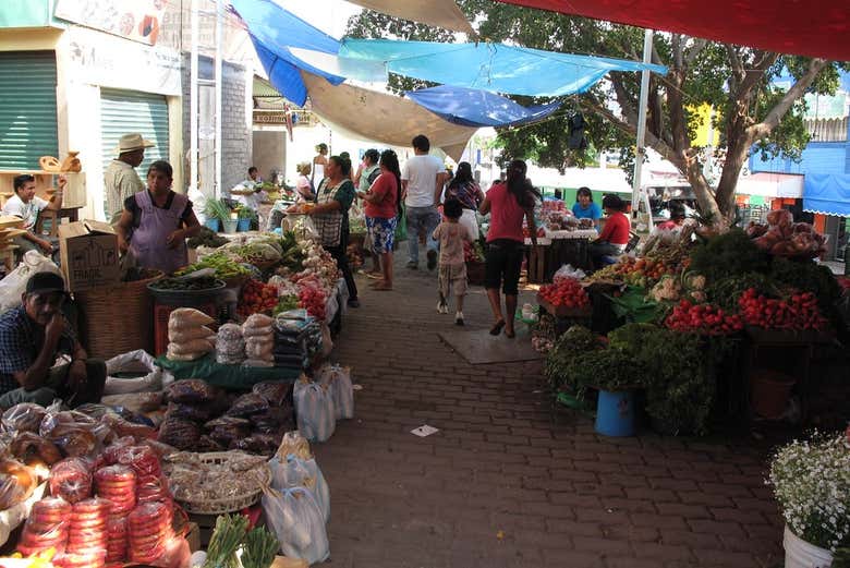 Imagen 6