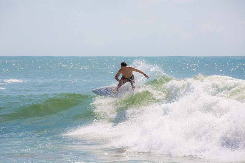 Imagen 5