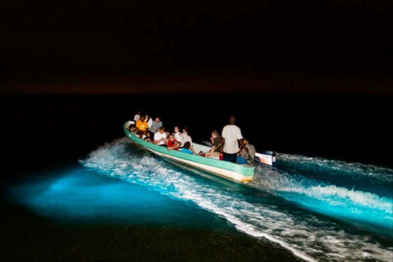 Making our way across the glowing water - Making our way across the glowing water
