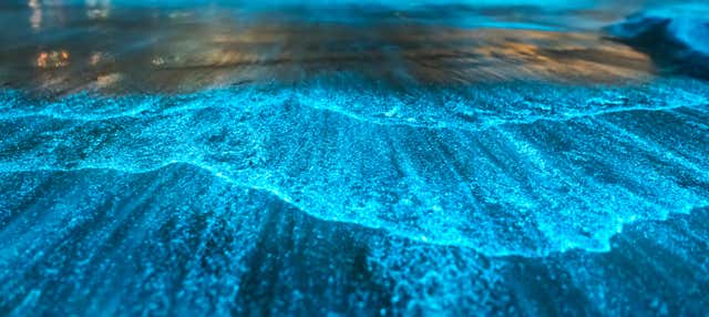 Tour serale della Laguna di Manialtepec