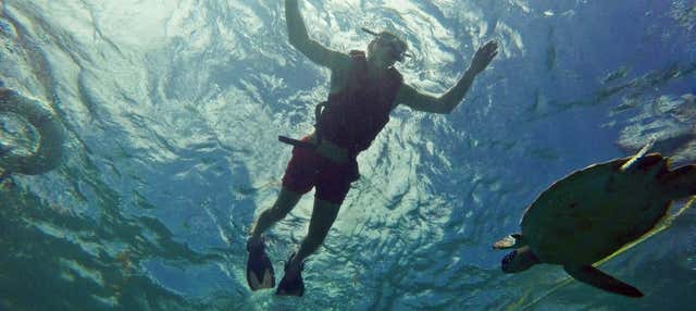 Snorkeling a Puerto Morelos
