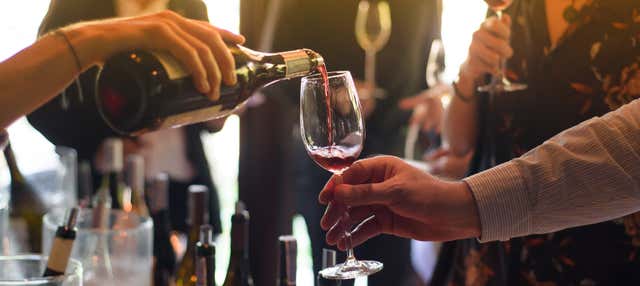 Degustazione di vino a Puerto Vallarta