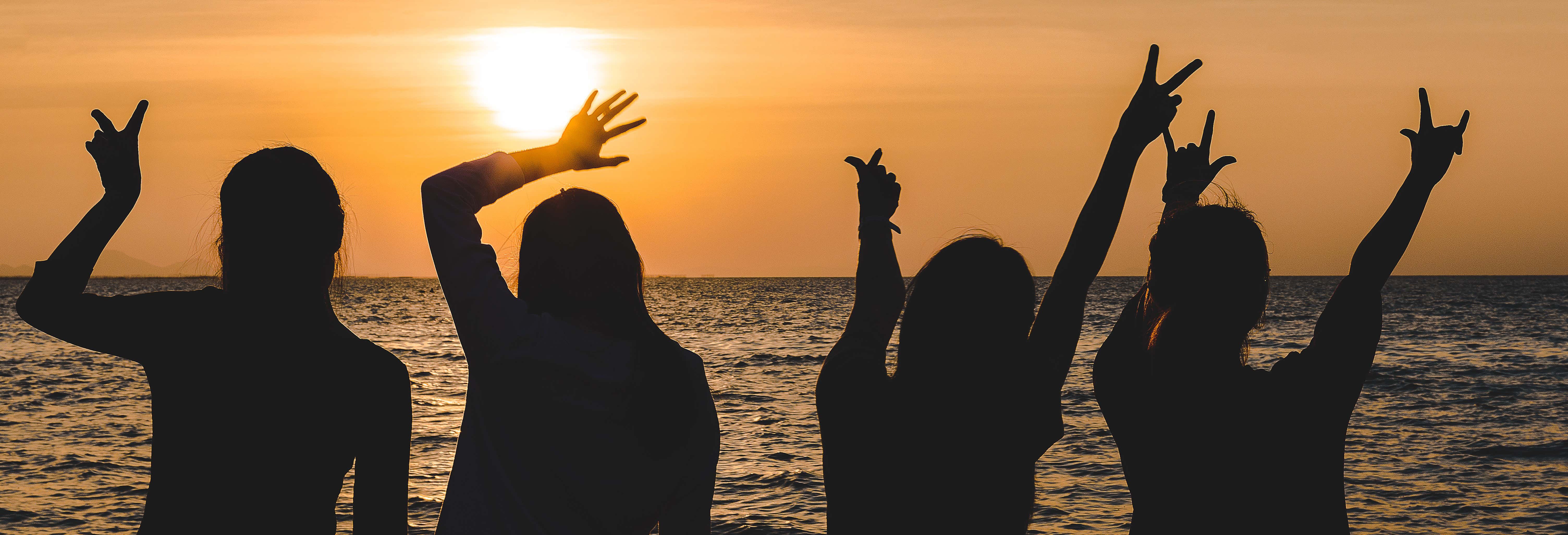 Crociera serale con cena e spettacolo