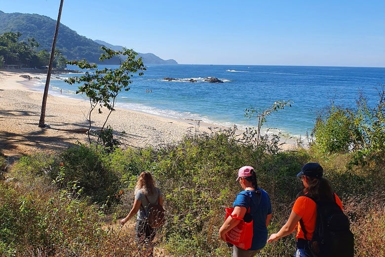 Senderismo por las playas escondidas de Puerto Vallarta + Snorkel en Colomitos