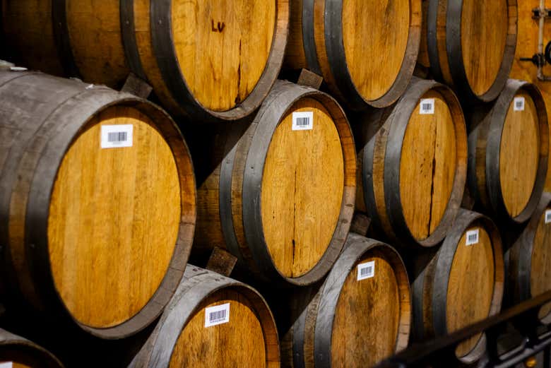 Excursión a Tequila + Visita a la destilería de José Cuervo