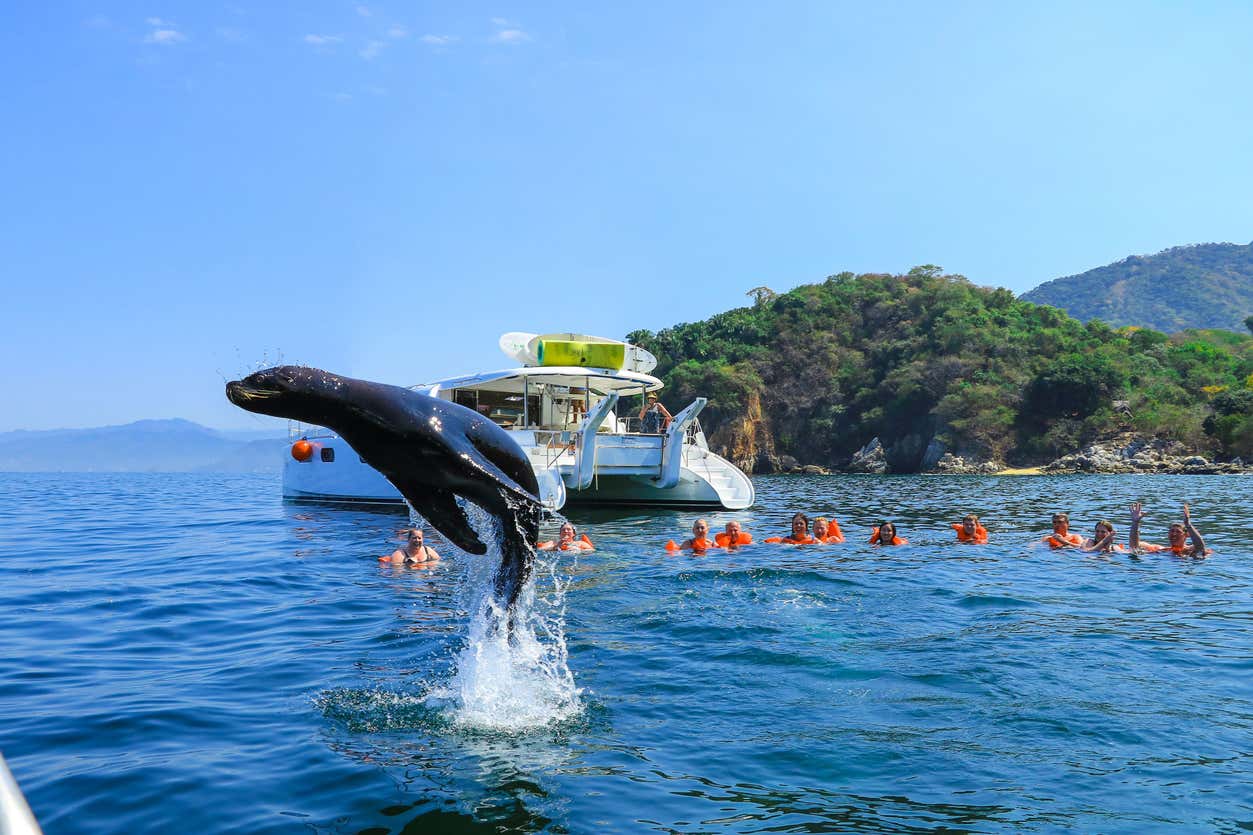 Crucero por la Bahía de Banderas