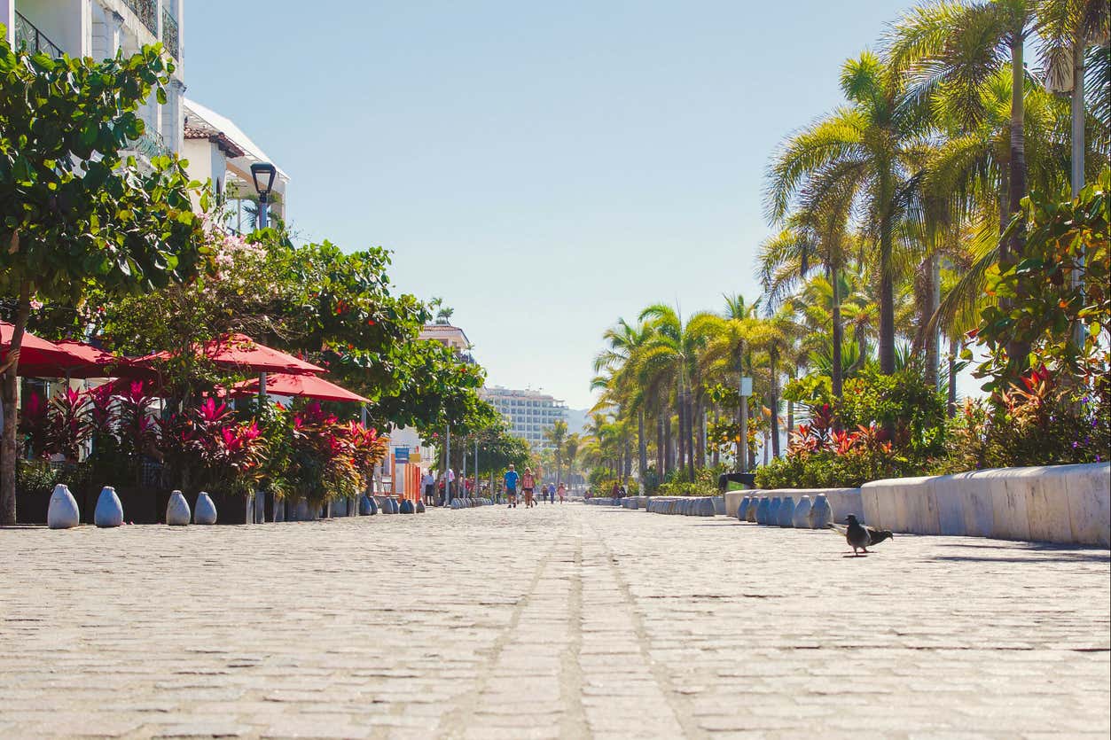 Tour en bicicleta por Puerto Vallarta