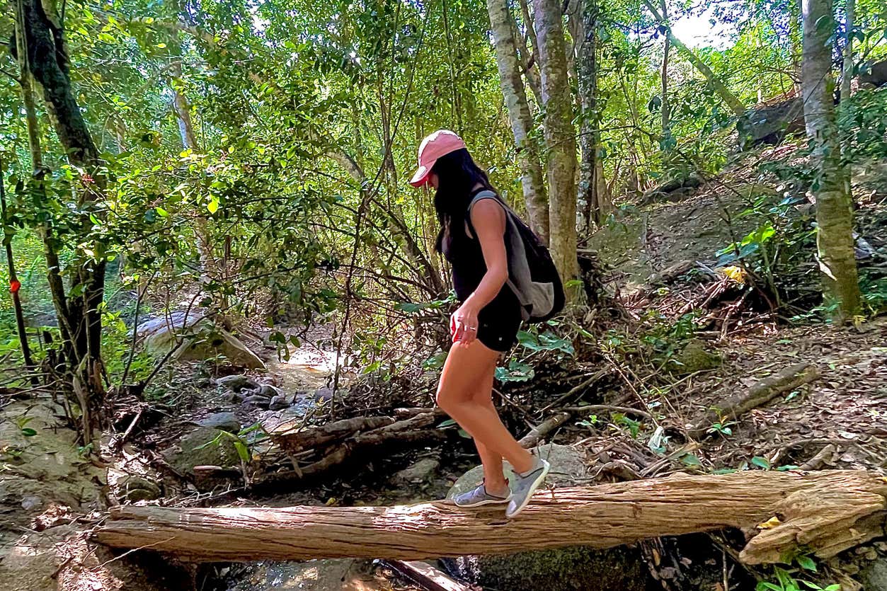 Tour por el Jardín Botánico y Los Veranos