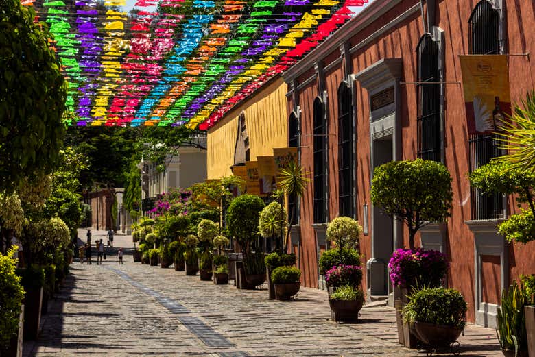 Excursión a Tequila + Visita a la destilería de José Cuervo