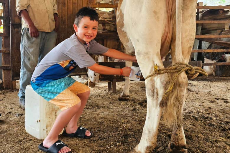 Imagen de Visita a una granja de Puerto Vallarta