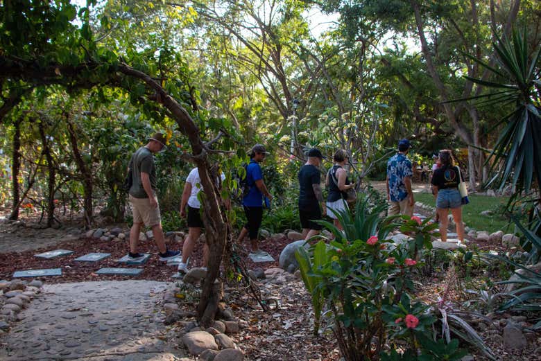 Visita guiada por Puerto Vallarta