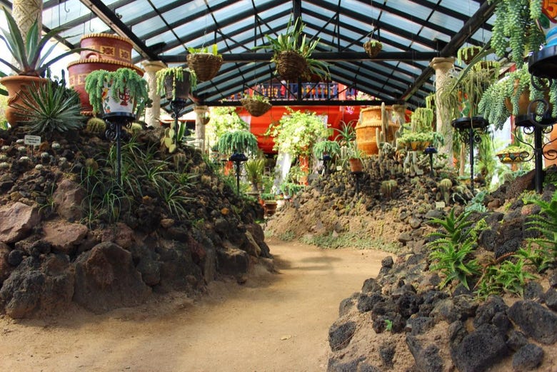 Tour por el Jardín Botánico de Vallarta