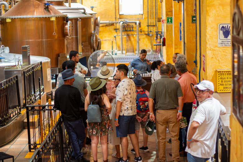 Excursión a Tequila + Visita a la destilería de José Cuervo