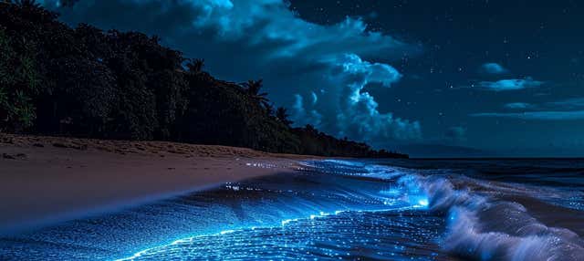 Paseo en lancha al atardecer y bioluminiscencia en Los Arcos de Mismaloya