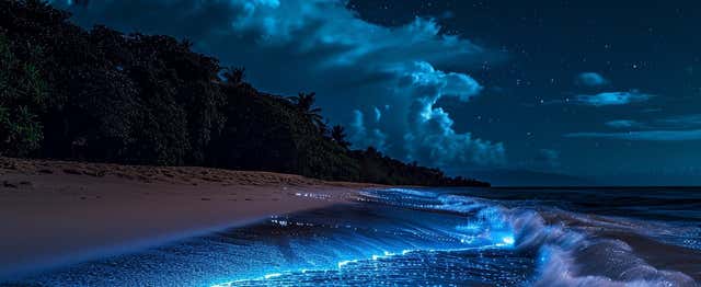 Paseo en lancha al atardecer y bioluminiscencia en Los Arcos de Mismaloya