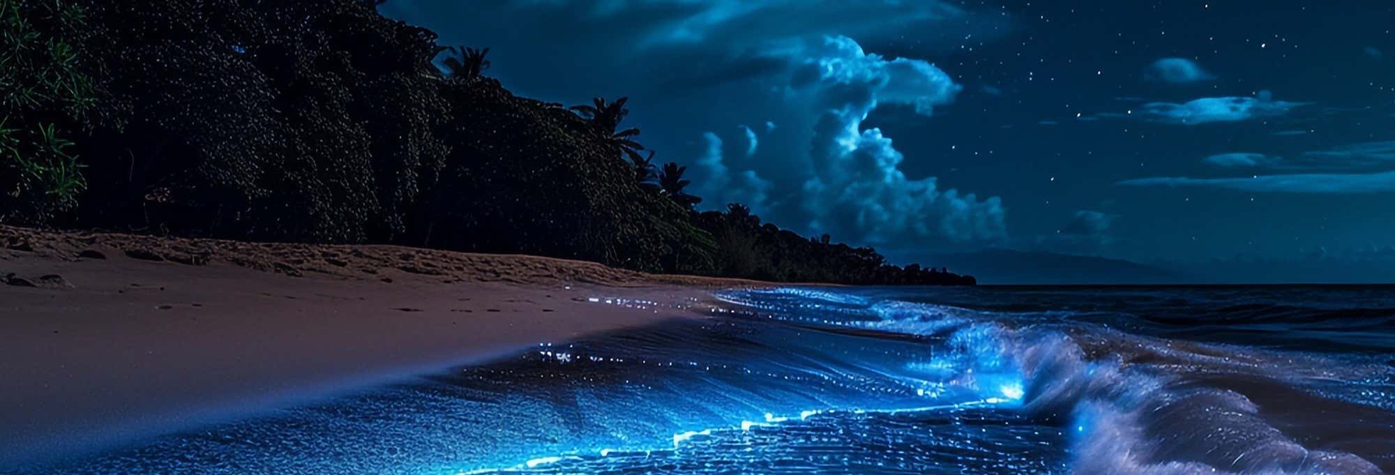 Paseo en lancha al atardecer y bioluminiscencia en Los Arcos de Mismaloya