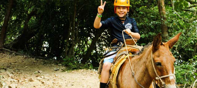 Zip line a Puerto Vallarta + Giro in mula