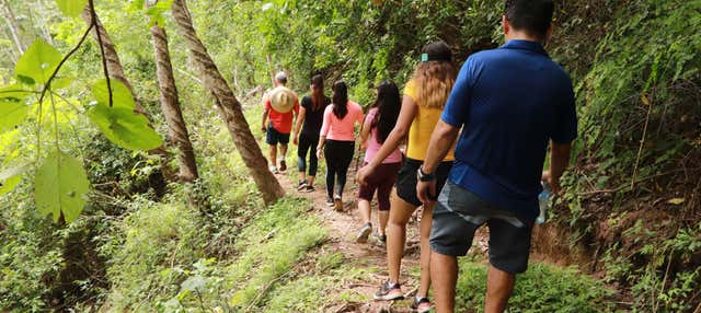 Tour del Giardino Botanico e del Parco Los Veranos