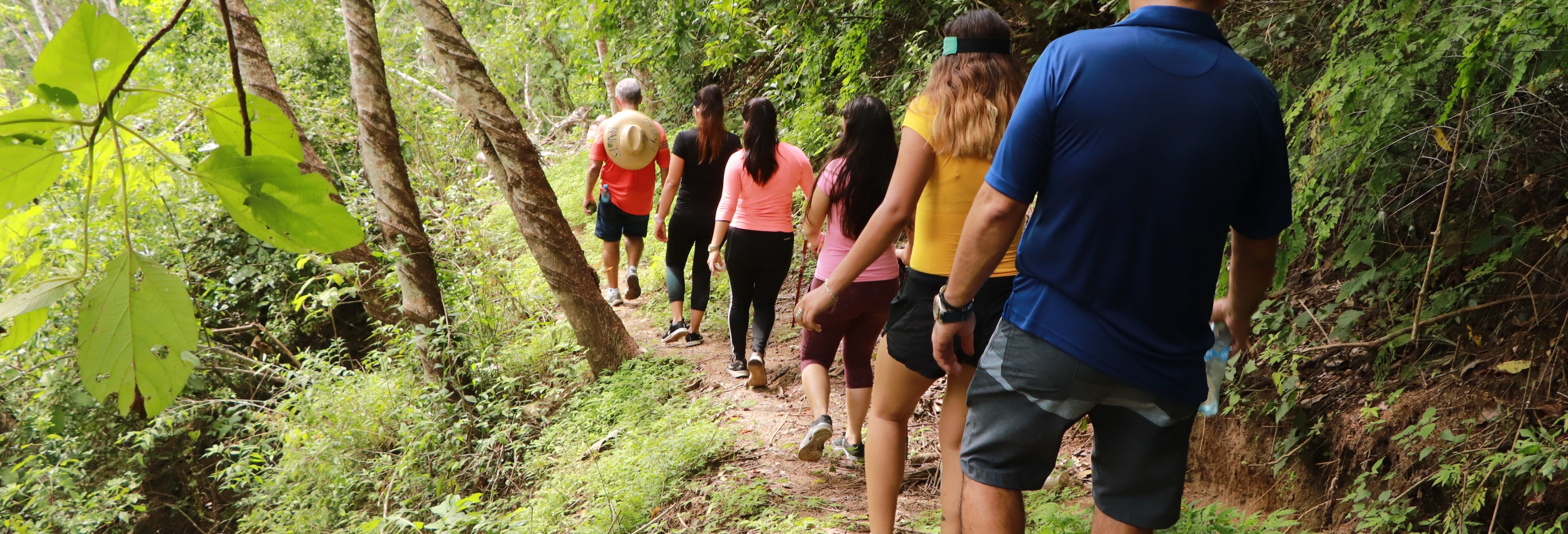 Botanical Gardens + Los Veranos Park Tour