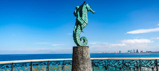 Tour privato di Puerto Vallarta