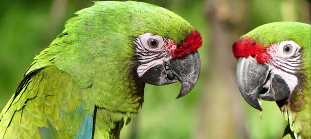 Tour del Santuario dell'Ara Verde