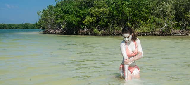 Bagno di argilla nelle mangrovie di Río Lagartos
