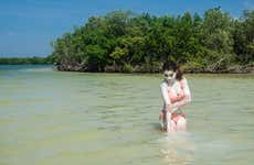 Ria Lagartos Mangroves Mudbath