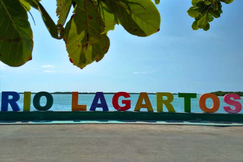 Imagen 8