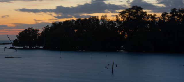 Tour serale delle mangrovie in barca