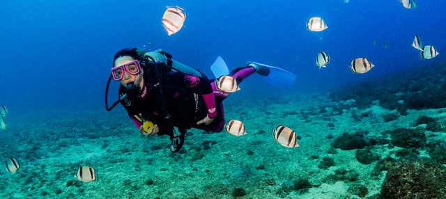 Immersione per principianti a Las Caletas