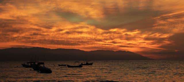 Crociera con cena e spettacolo