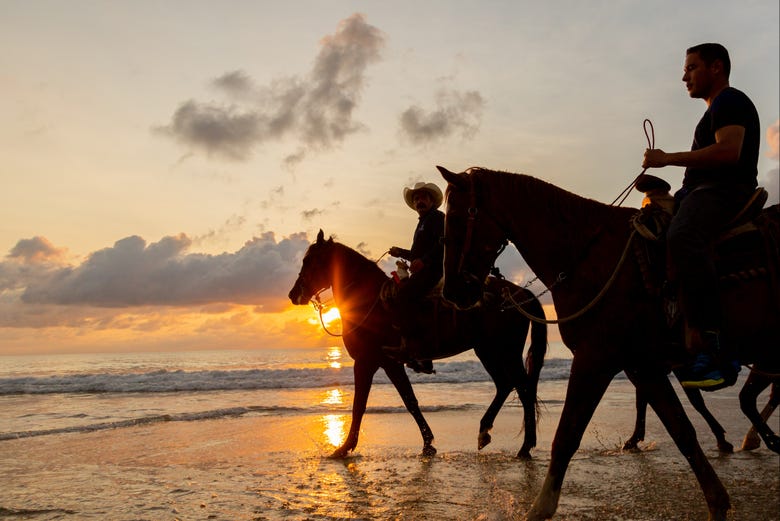 Paseo a caballo por la Riviera Nayarit