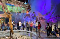 Saltillo Museum Tour