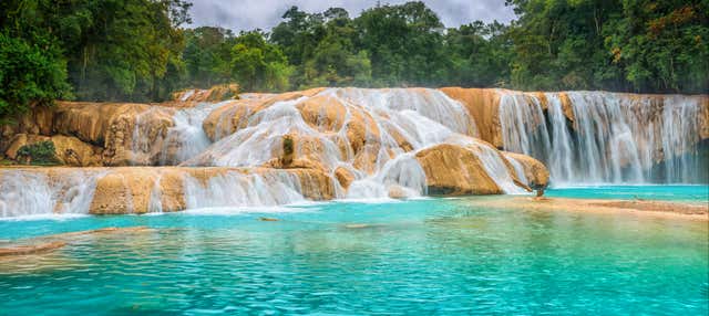 Escursione ad Agua Azul, Misol-Há e Palenque