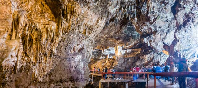 Escursione al Parque Ecoturístico Rancho Nuevo e a El Arcotete