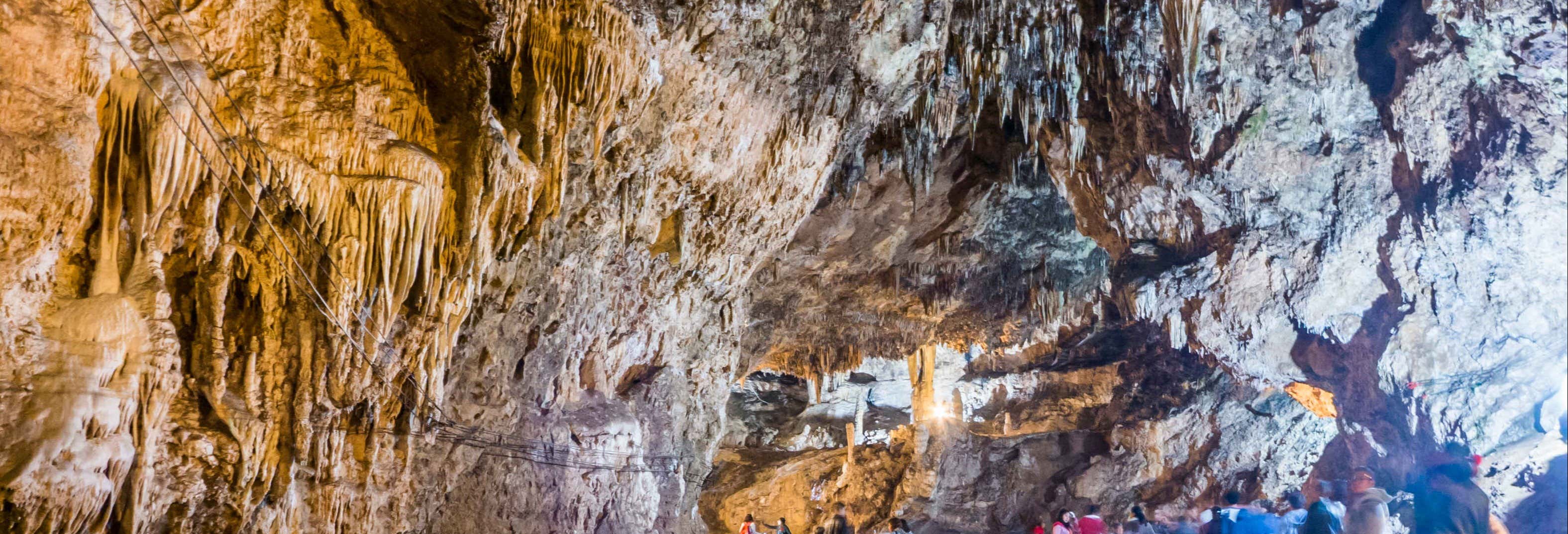 Escursione al Parque Ecoturístico Rancho Nuevo e a El Arcotete