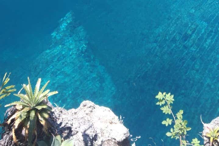 Imagen 5